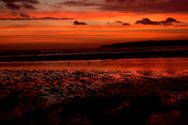 min 2007 11 25 camber plage 070